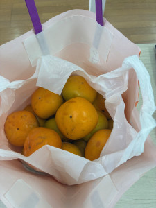 image000